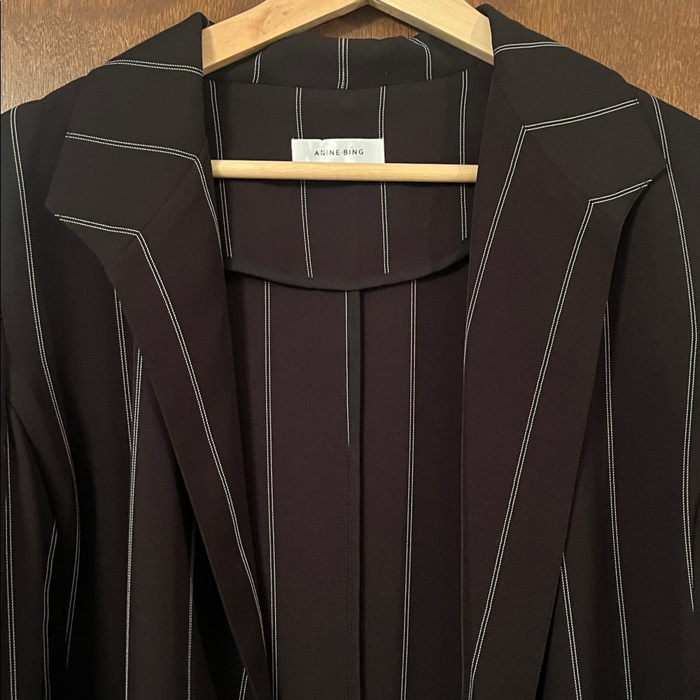 Anine Bing Pinstripe Blazer - Picture 6 of 11